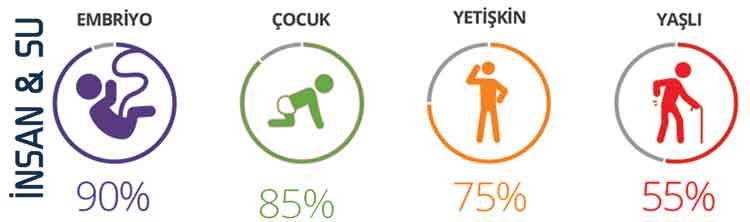 Alkali-Su-grafik Alkali yaşam